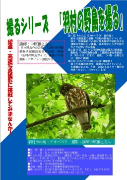 �B��V���[�Y