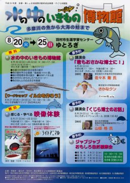 ���̒��̂������̔�����